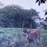 Property photo for land for sale in DeKalb County Missouri