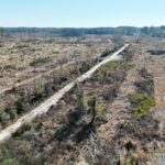 Property photo for land for sale in Bamberg County South Carolina