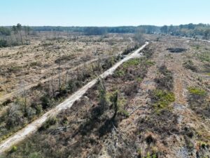 Property photo for land for sale in Bamberg County South Carolina