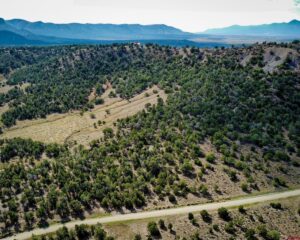 Property photo for land for sale in Montezuma County Colorado