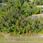Property photo for land for sale in Levy County Florida