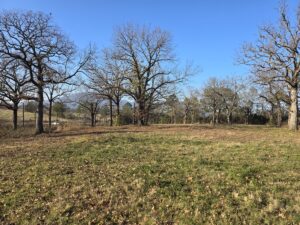 Property photo for land for sale in Sebastian County Arkansas