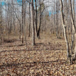 Property photo for land for sale in Wayne County Tennessee