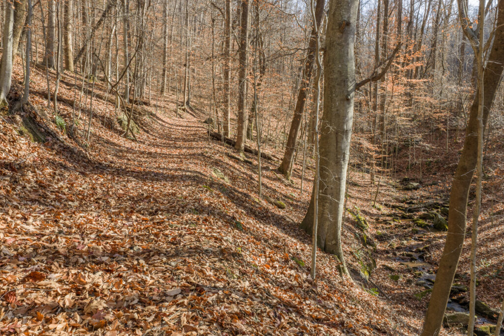 Property photo for land for sale in Wilkes County North Carolina