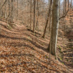 Property photo for land for sale in Wilkes County North Carolina