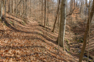 Property photo for land for sale in Wilkes County North Carolina