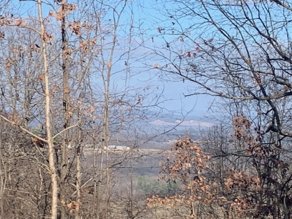 Property photo for land for sale in Marion County Arkansas