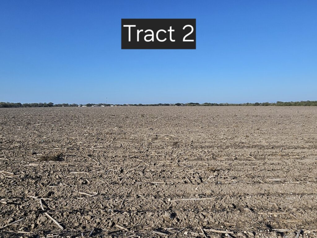 Property photo for land for sale in Kleberg County Texas