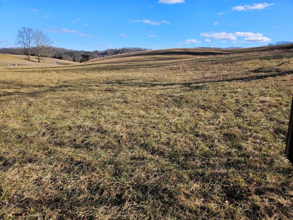 Property photo for land for sale in Washington County Virginia