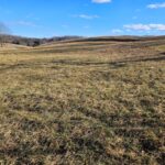 Property photo for land for sale in Washington County Virginia