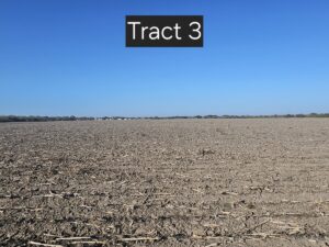 Property photo for land for sale in Kleberg County Texas