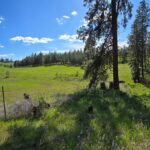 Property photo for land for sale in Spokane County Washington