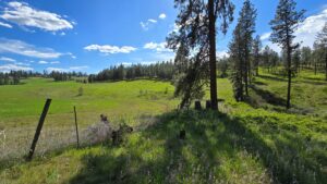 Property photo for land for sale in Spokane County Washington