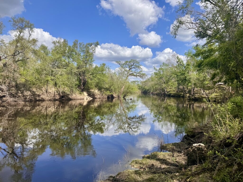Property photo for land for sale in Madison County Florida
