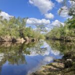 Property photo for land for sale in Madison County Florida