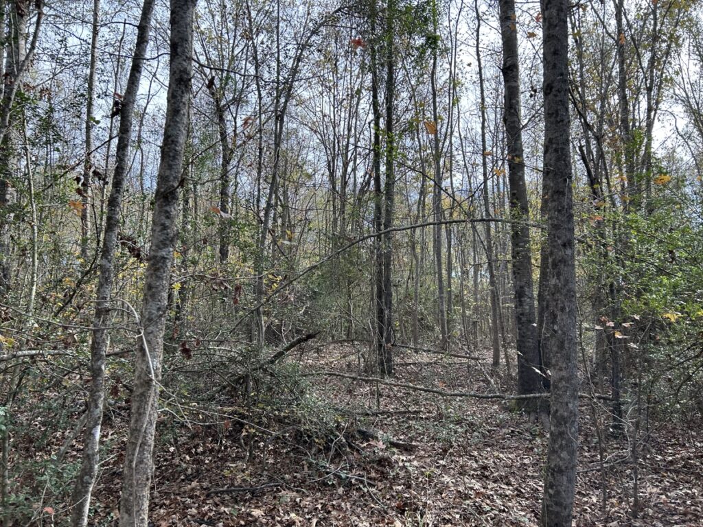 Property photo for land for sale in Harrison County Texas