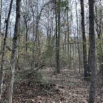 Property photo for land for sale in Harrison County Texas