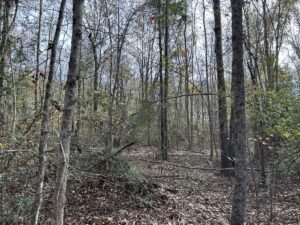 Property photo for land for sale in Harrison County Texas