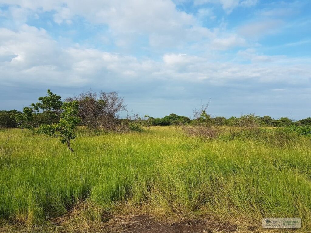 Property photo for land for sale in County Panama