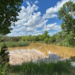 Property photo for land for sale in Brown County Texas