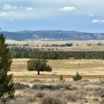 Property photo for land for sale in Modoc County California