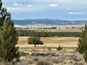 Property photo for land for sale in Modoc County California