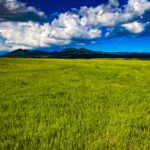 Property photo for land for sale in Fergus County Montana