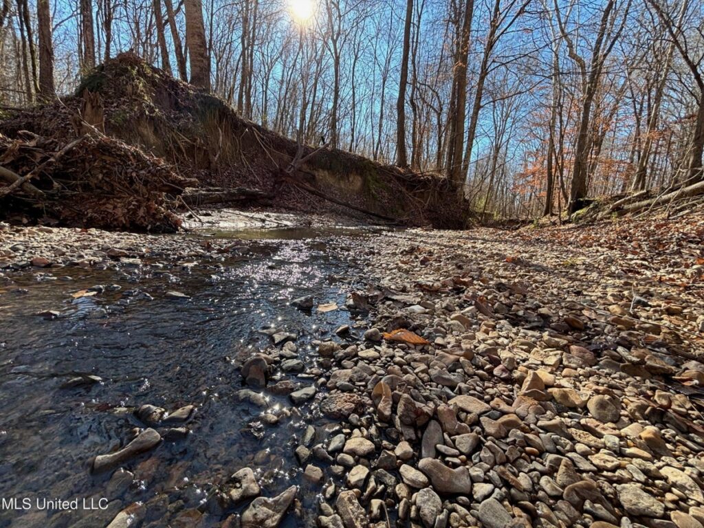 Property photo for land for sale in Yazoo County Mississippi