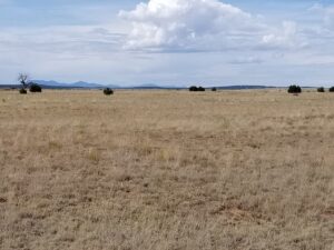 Property photo for land for sale in Torrance County New Mexico