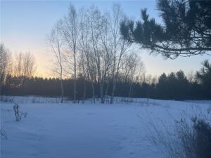 Property photo for land for sale in Pine County Minnesota