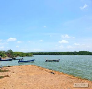 Property photo for land for sale in  County Panama