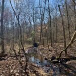 Property photo for land for sale in Perry County Tennessee