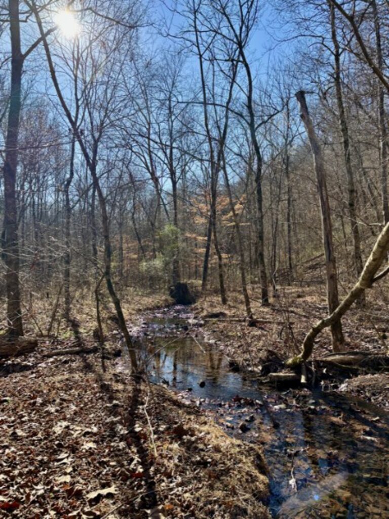 Property photo for land for sale in Perry County Tennessee