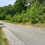 Property photo for land for sale in Clinton County Kentucky