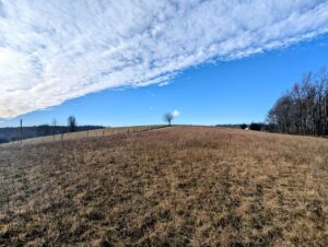 Property photo for land for sale in Patrick County Virginia