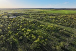 Property photo for land for sale in Coleman County Texas