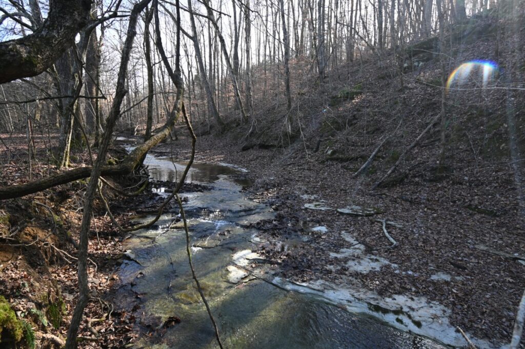 Property photo for land for sale in Perry County Tennessee