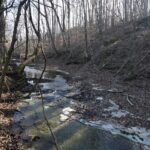 Property photo for land for sale in Perry County Tennessee