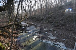 Property photo for land for sale in Perry County Tennessee