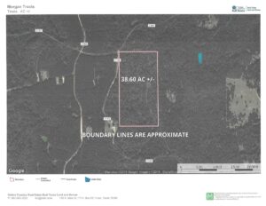 Property photo for land for sale in Cherokee County Texas