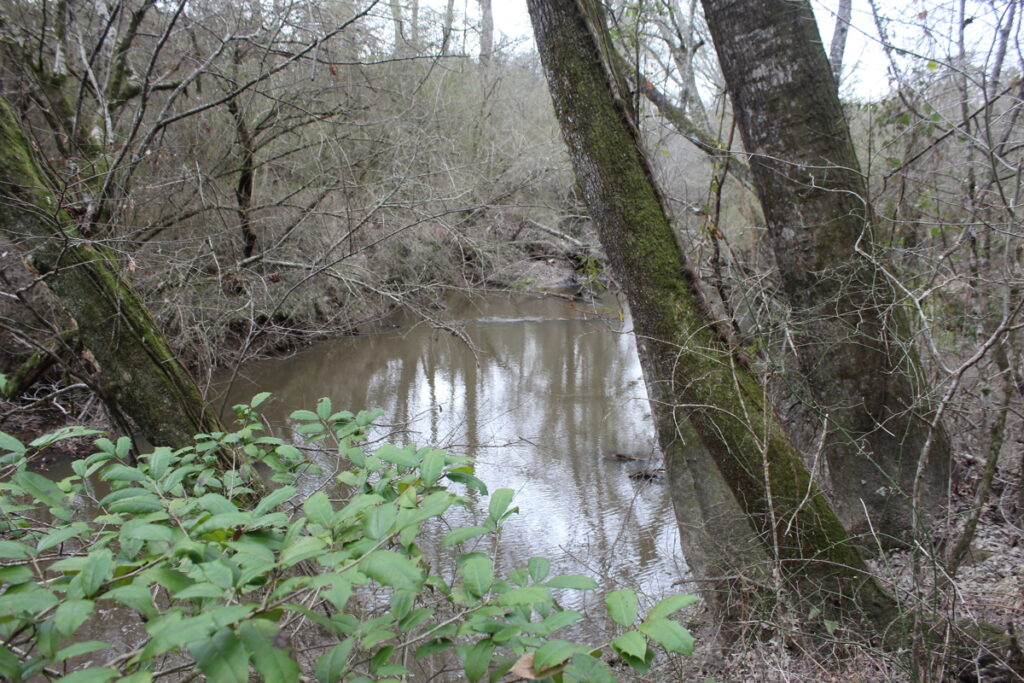 Property photo for land for sale in Lincoln County Mississippi