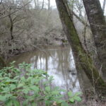 Property photo for land for sale in Lincoln County Mississippi