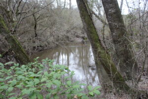 Property photo for land for sale in Lincoln County Mississippi