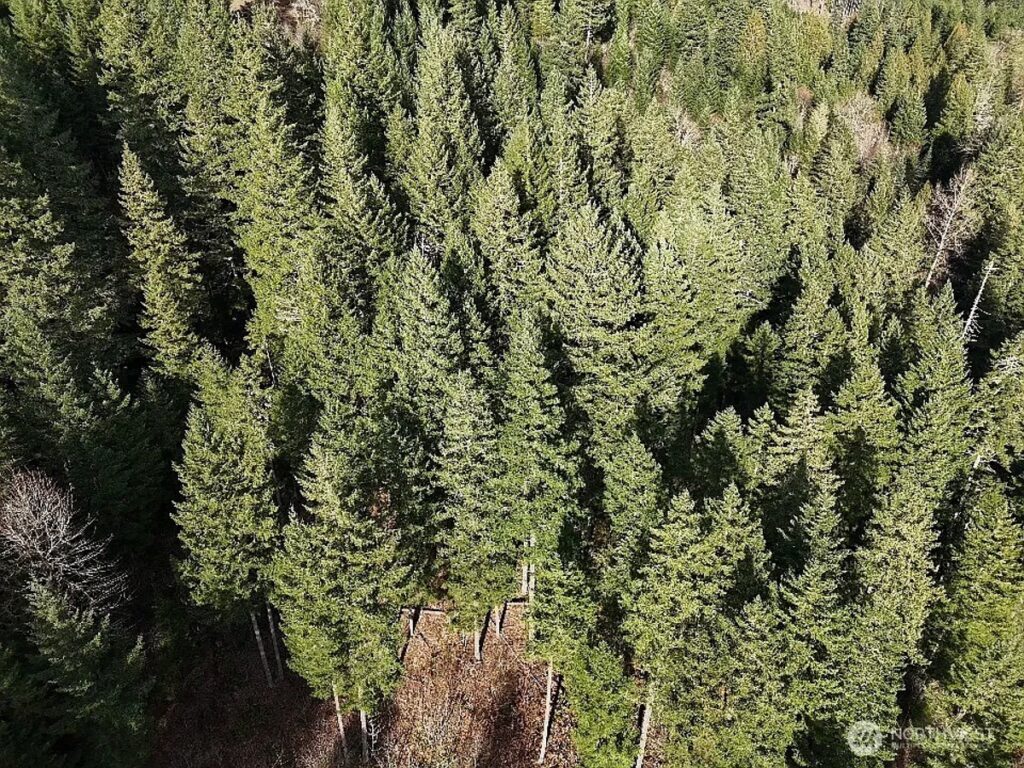 Property photo for land for sale in Skamania County Washington