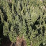 Property photo for land for sale in Skamania County Washington