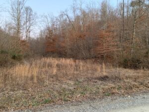 Property photo for land for sale in Casey County Kentucky