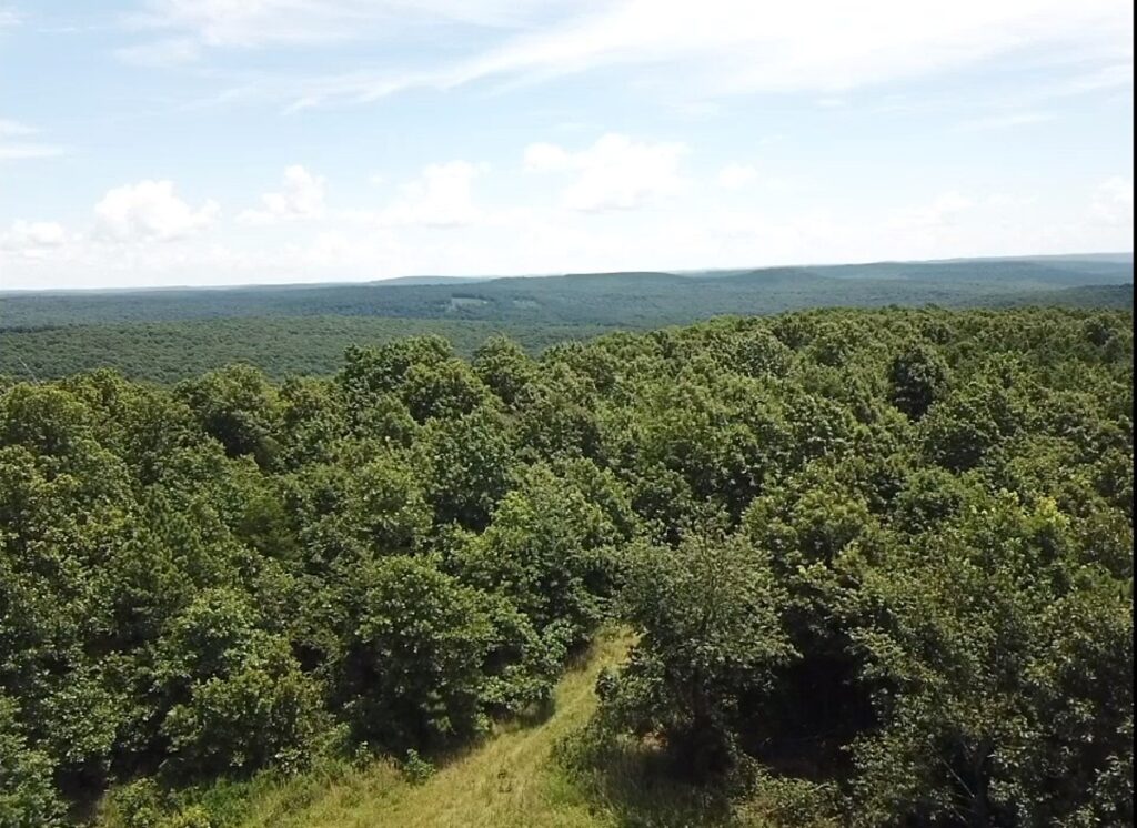 Property photo for land for sale in Stone County Arkansas