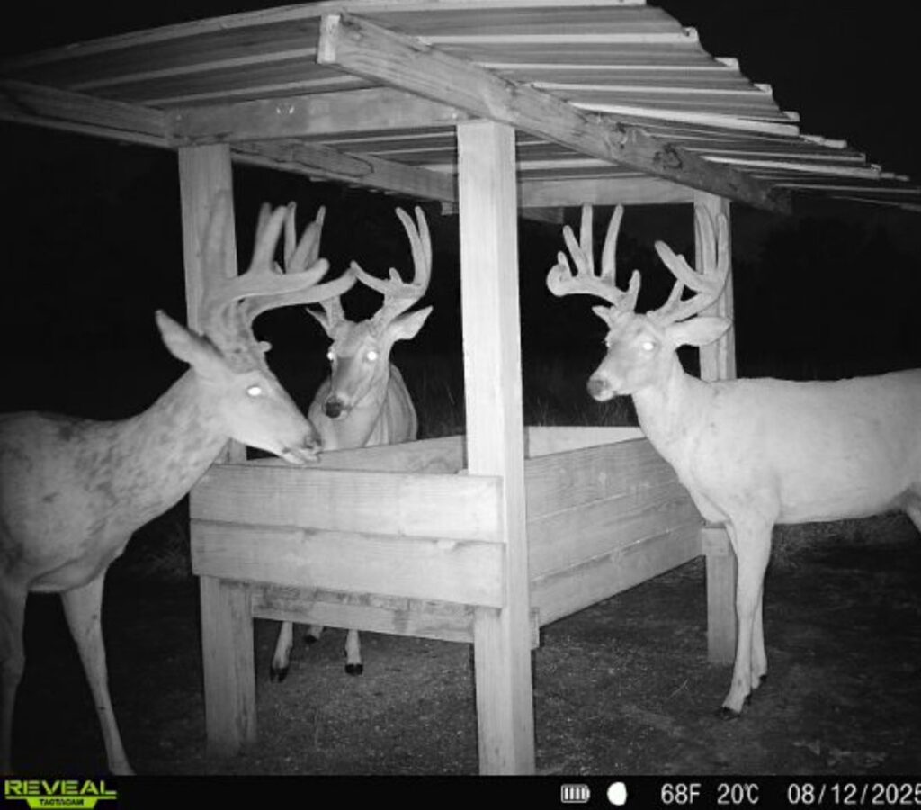 Property photo for land for sale in Chautauqua County Kansas