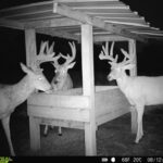 Property photo for land for sale in Chautauqua County Kansas