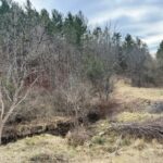 Property photo for land for sale in Bland County Virginia